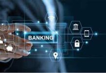 Program’s description