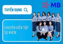 Recruitment Notice – “MB Chasing” Position at MBBank Ly Nam De Branch